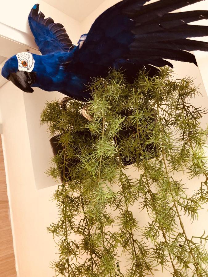 Le jungle charmant appartement avec extérieur Nîmes Esterno foto